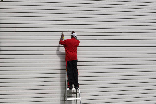 Best Steel Siding Installation  in Onarga, IL