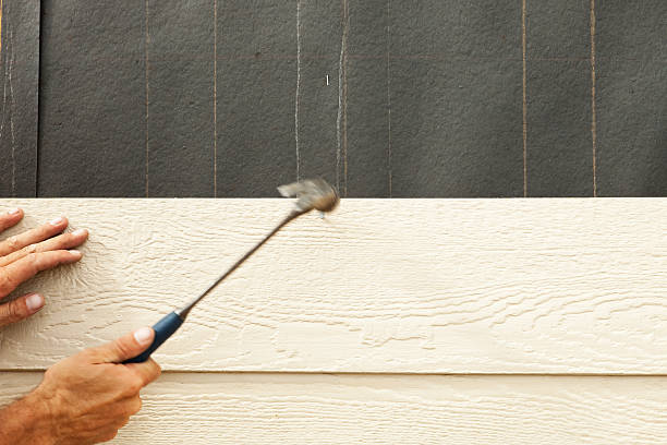 Best Siding for New Construction  in Onarga, IL